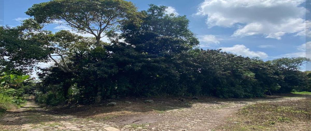 Foto de terreno habitacional en venta en  , teocelo, teocelo, veracruz de ignacio de la llave, 0 No. 03