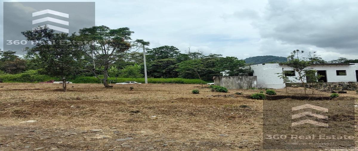 Foto de terreno habitacional en venta en  , teocelo, teocelo, veracruz de ignacio de la llave, 29817184 No. 04