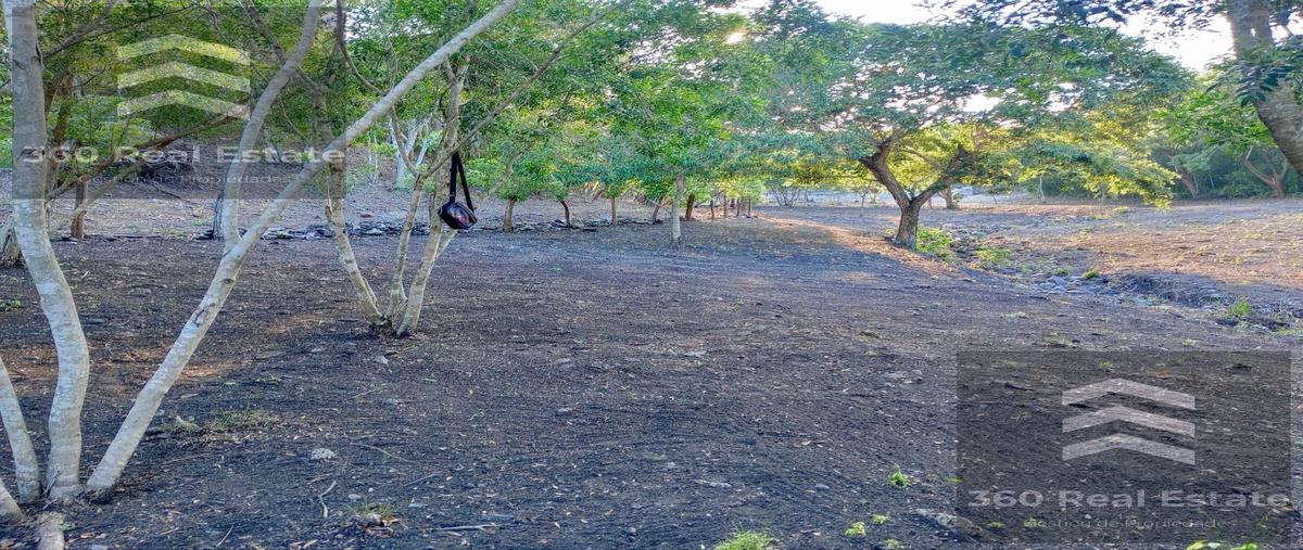 Foto de terreno habitacional en venta en  , teocelo, teocelo, veracruz de ignacio de la llave, 29817184 No. 05