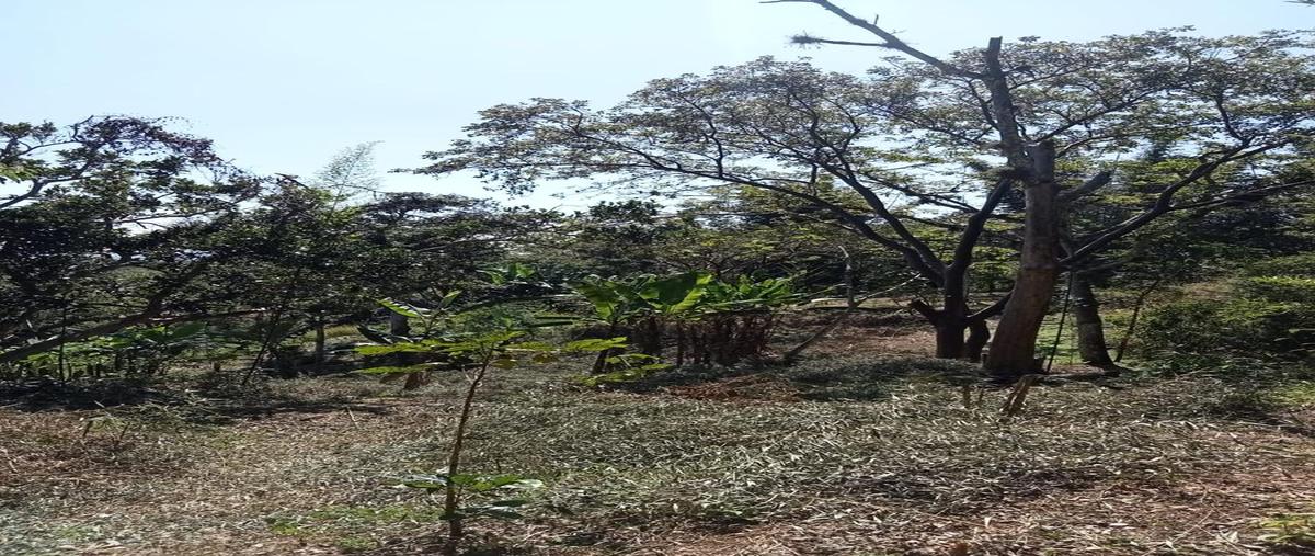 Foto de terreno habitacional en , teocelo, teocelo, veracruz de ignacio de la llave, 0 foto 02 Foto de terreno habitacional en venta en , teocelo, teocelo, veracruz de ignacio de la llave, 0 No. 02