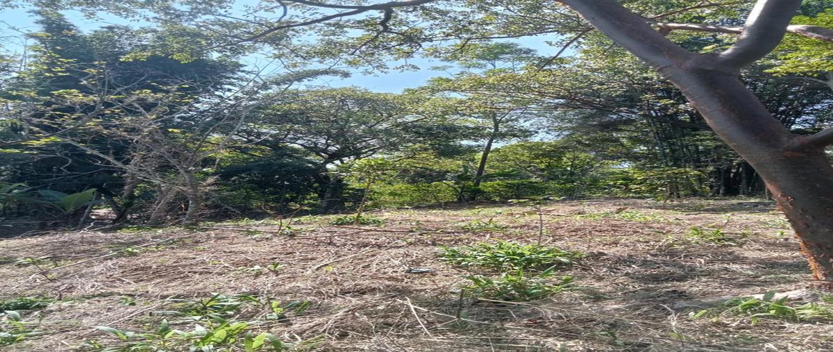 Foto de terreno habitacional en , teocelo, teocelo, veracruz de ignacio de la llave, 0 foto 05 Foto de terreno habitacional en venta en , teocelo, teocelo, veracruz de ignacio de la llave, 0 No. 05