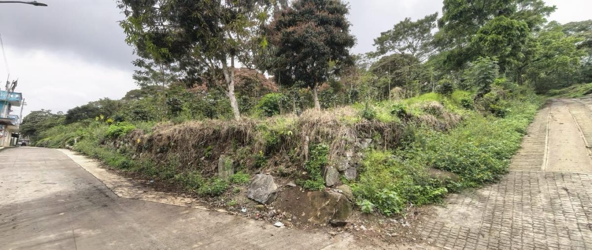 Foto de terreno habitacional en venta en  , teocelo, teocelo, veracruz de ignacio de la llave, 0 No. 03