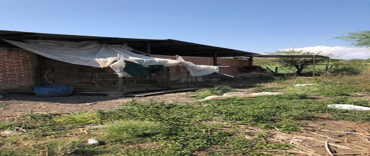 Foto de terreno habitacional en venta en teocuitatlan de corona , teocuitatlan de corona, teocuitatlán de corona, jalisco, 18888976 No. 04