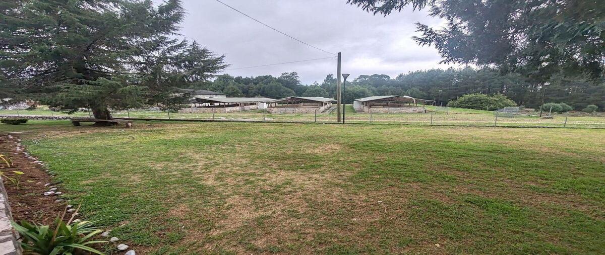 Foto de rancho en venta en  , teopancingo, huauchinango, puebla, 30340996 No. 05