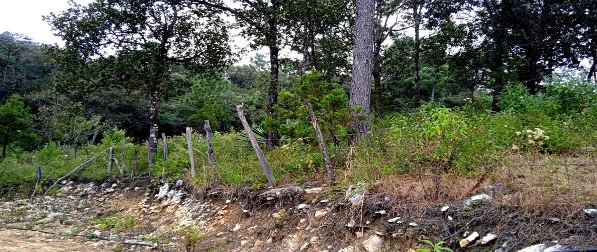 Foto de terreno habitacional en , teopisca, teopisca, chiapas, 25795631 foto 05 Foto de terreno habitacional en venta en , teopisca, teopisca, chiapas, 25795631 No. 05