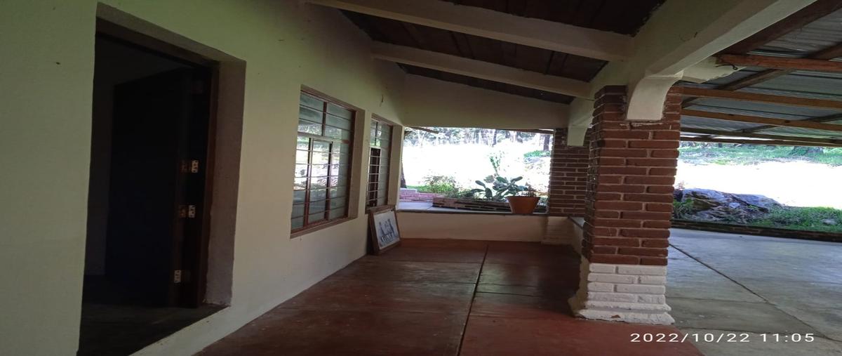 Foto de rancho en venta en  , teopisca, teopisca, chiapas, 26791694 No. 04
