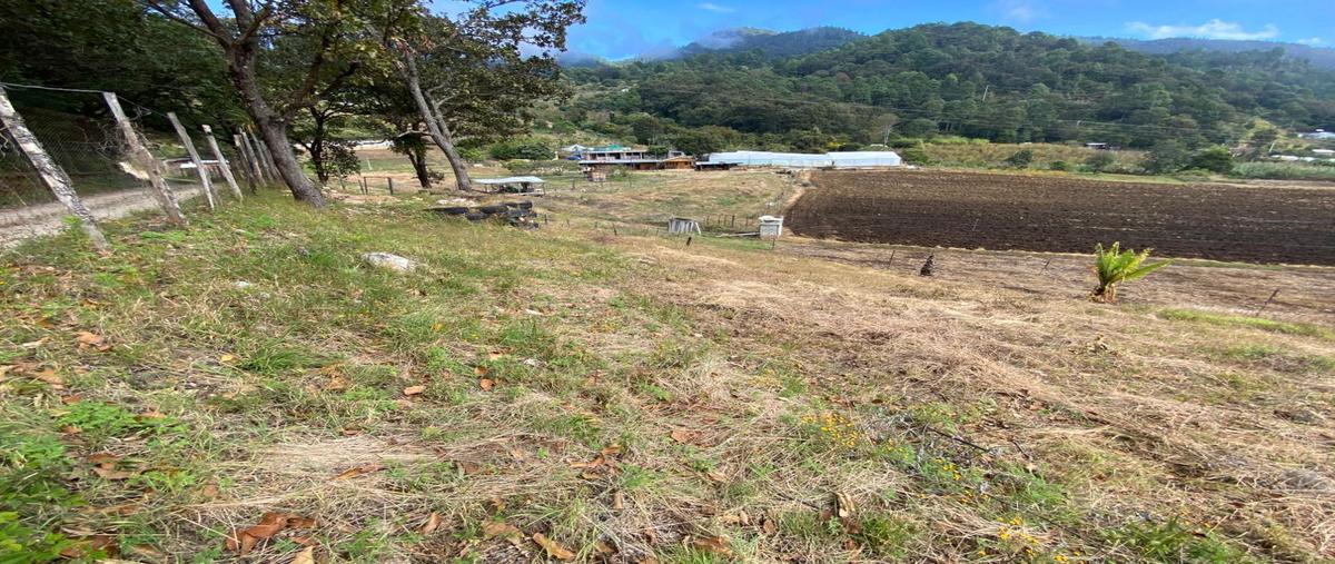 Foto de terreno habitacional en venta en  , teopisca, teopisca, chiapas, 0 No. 03