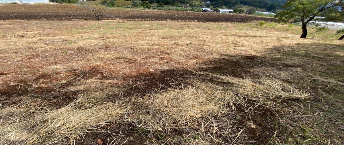Foto de terreno habitacional en venta en  , teopisca, teopisca, chiapas, 0 No. 04