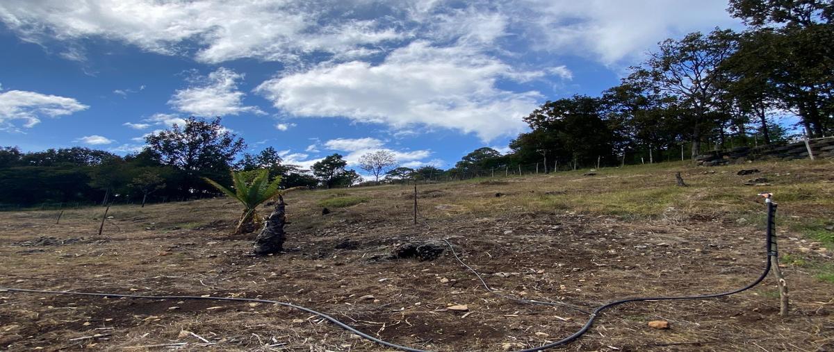 Foto de terreno habitacional en venta en  , teopisca, teopisca, chiapas, 0 No. 05