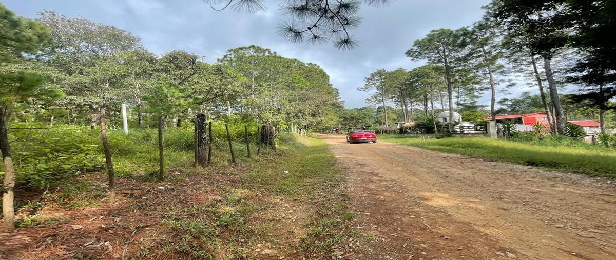 Foto de terreno habitacional en , teopisca, teopisca, chiapas, 0 foto 01 Foto de terreno habitacional en venta en , teopisca, teopisca, chiapas, 0 No. 01