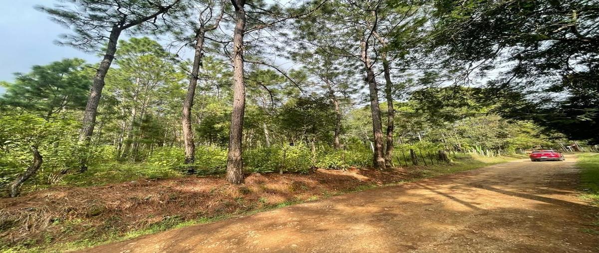 Foto de terreno habitacional en , teopisca, teopisca, chiapas, 0 foto 02 Foto de terreno habitacional en venta en , teopisca, teopisca, chiapas, 0 No. 02