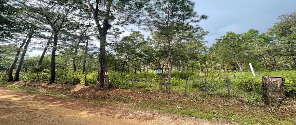 Foto de terreno habitacional en , teopisca, teopisca, chiapas, 0 foto 03 Foto de terreno habitacional en venta en , teopisca, teopisca, chiapas, 0 No. 03