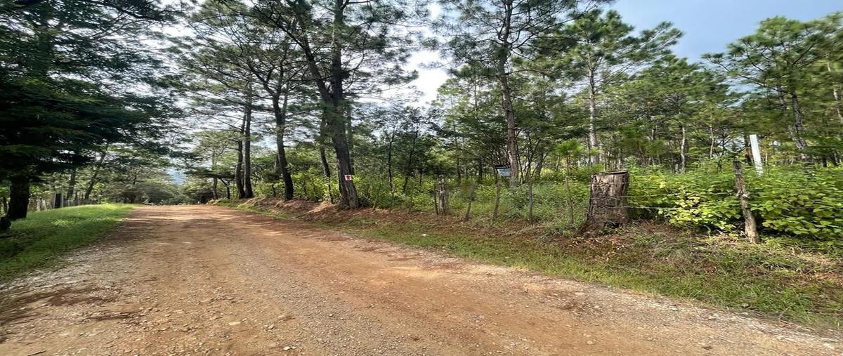 Foto de terreno habitacional en , teopisca, teopisca, chiapas, 0 foto 04 Foto de terreno habitacional en venta en , teopisca, teopisca, chiapas, 0 No. 04