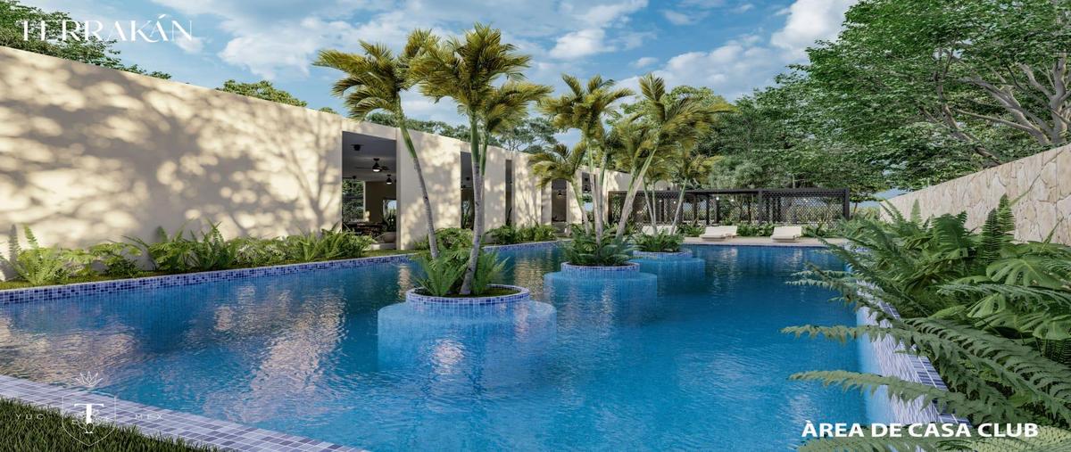 Foto de terreno habitacional en venta en  , tepakan, tepakán, yucatán, 30234510 No. 05