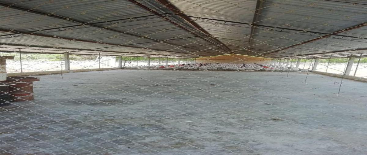 Foto de terreno habitacional en venta en tepakan whi274596, tepakan, tepakán, yucatán, 23638173 No. 04