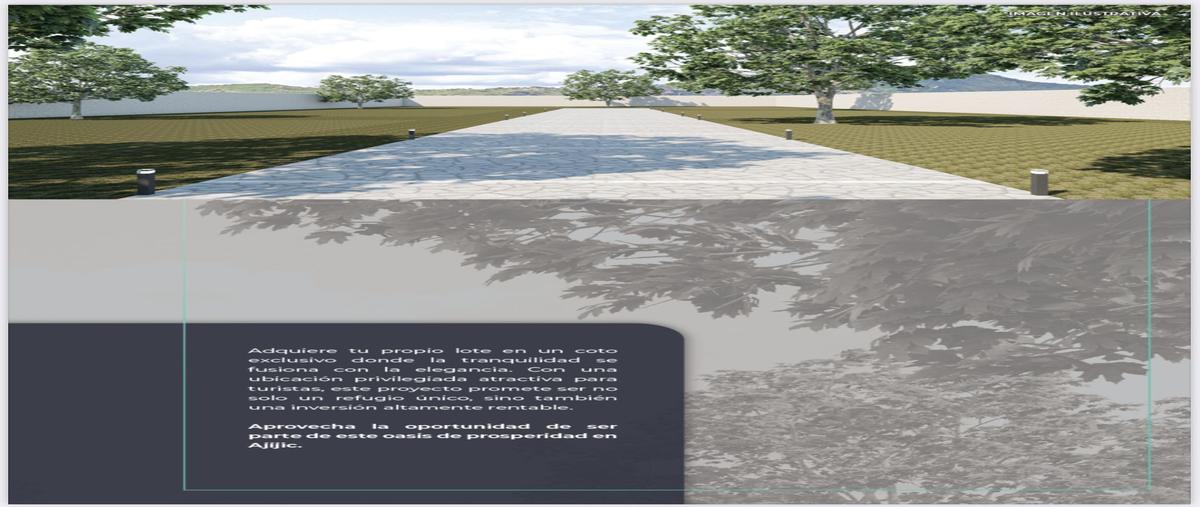 Foto de terreno habitacional en venta en tepalo , ajijic centro, chapala, jalisco, 0 No. 03