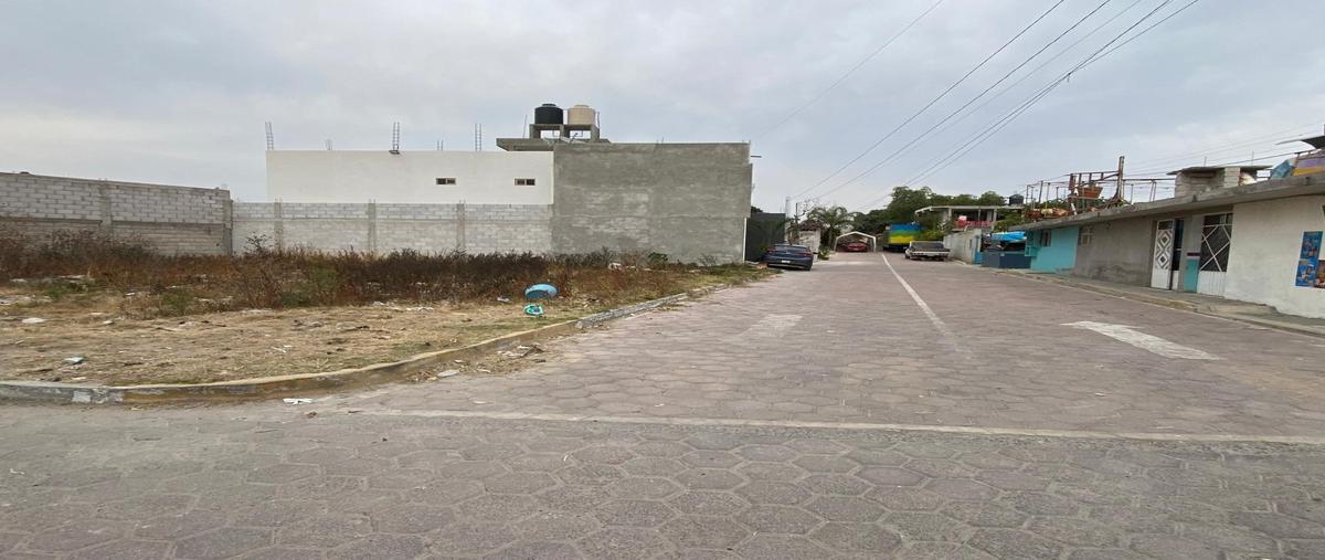 Foto de terreno habitacional en venta en  , tepeaca de zaragoza, coyomeapan, puebla, 31025911 No. 04