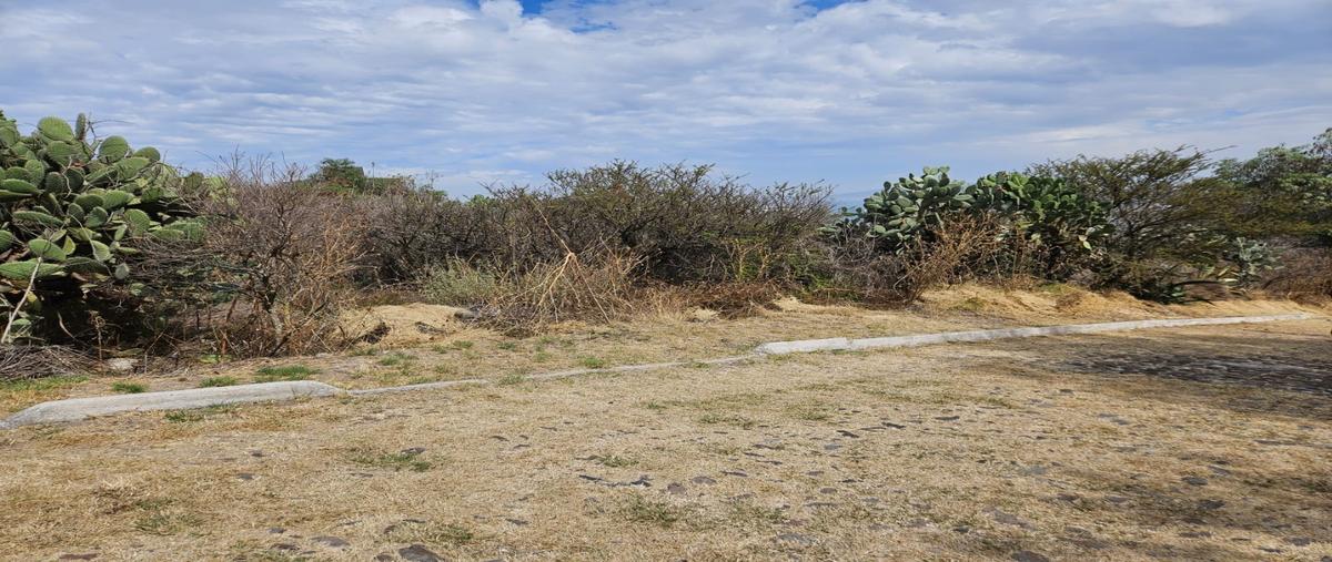 Foto de terreno habitacional en venta en  , tepeji, tepeji del río de ocampo, hidalgo, 0 No. 04