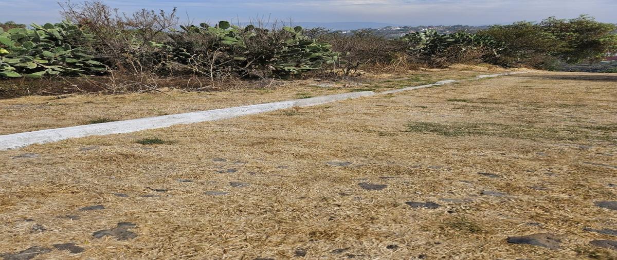 Foto de terreno habitacional en venta en  , tepeji, tepeji del río de ocampo, hidalgo, 0 No. 05