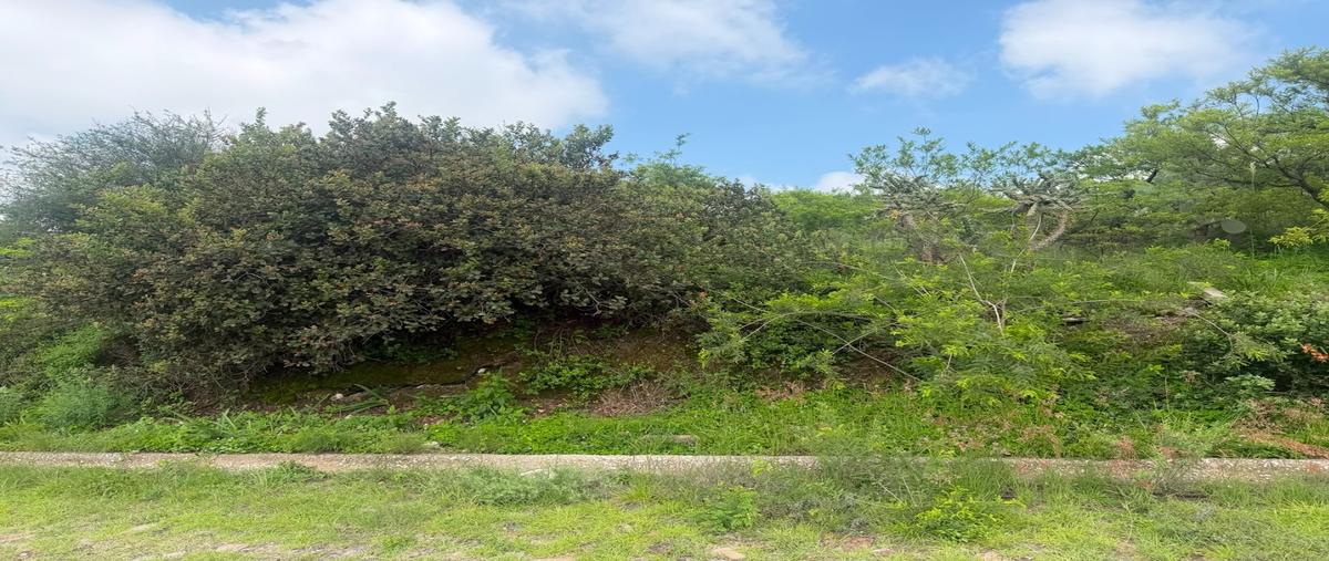 Foto de terreno habitacional en venta en  , tepeji, tepeji del río de ocampo, hidalgo, 31499624 No. 03