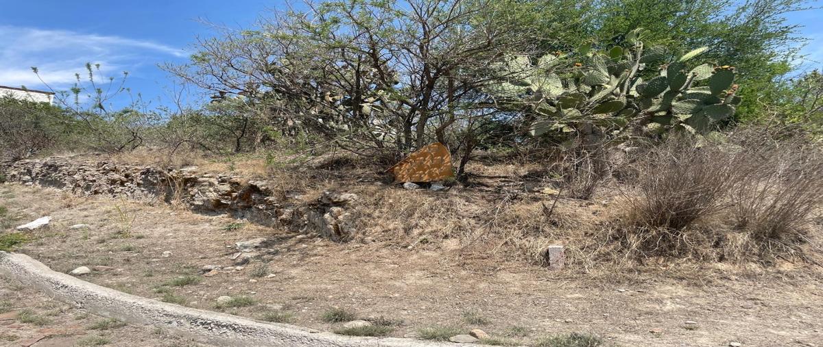 Foto de terreno habitacional en venta en  , tepeji, tepeji del río de ocampo, hidalgo, 0 No. 04