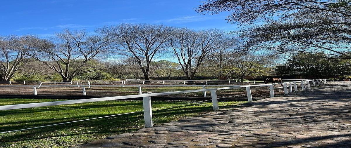 Foto de rancho en venta en tepeji , tepeji, tepeji del río de ocampo, hidalgo, 0 No. 04
