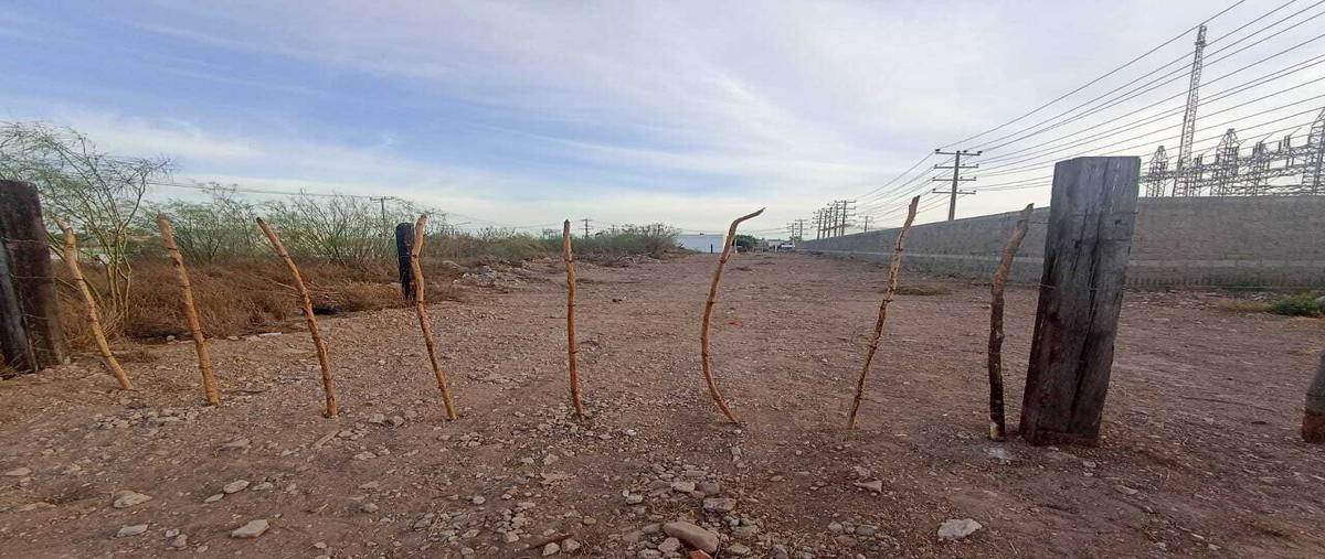 Foto de terreno habitacional en venta en  , tepeka, ahome, sinaloa, 28192231 No. 04