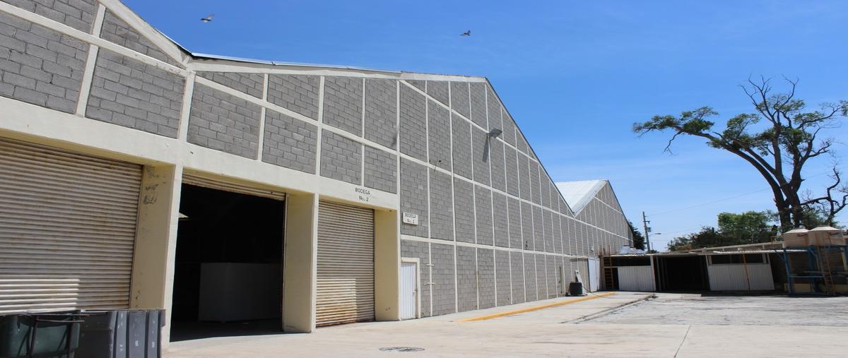 Foto de bodega en venta en  , tepetitla, tepetitla de lardizábal, tlaxcala, 0 No. 05