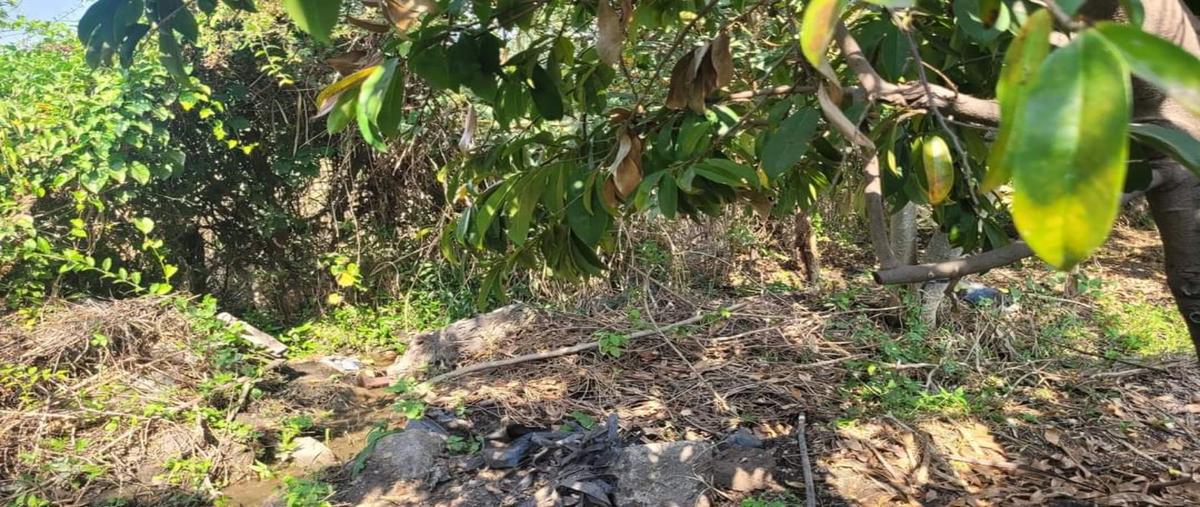 Foto de terreno habitacional en venta en  , tepetzingo, emiliano zapata, morelos, 0 No. 03