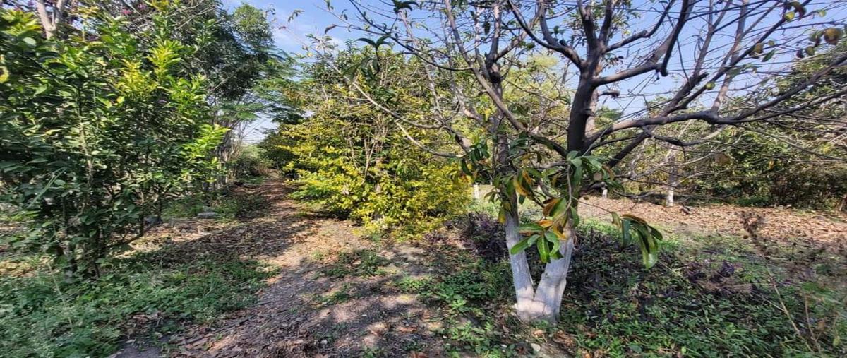 Foto de terreno habitacional en venta en  , tepetzingo, emiliano zapata, morelos, 0 No. 04