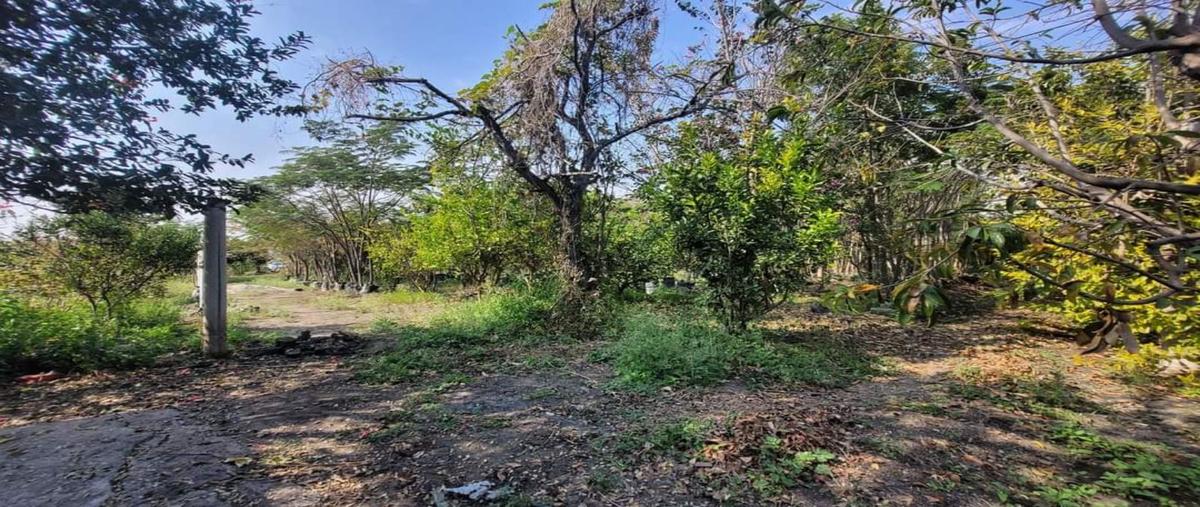 Foto de terreno habitacional en venta en  , tepetzingo, emiliano zapata, morelos, 27558578 No. 05