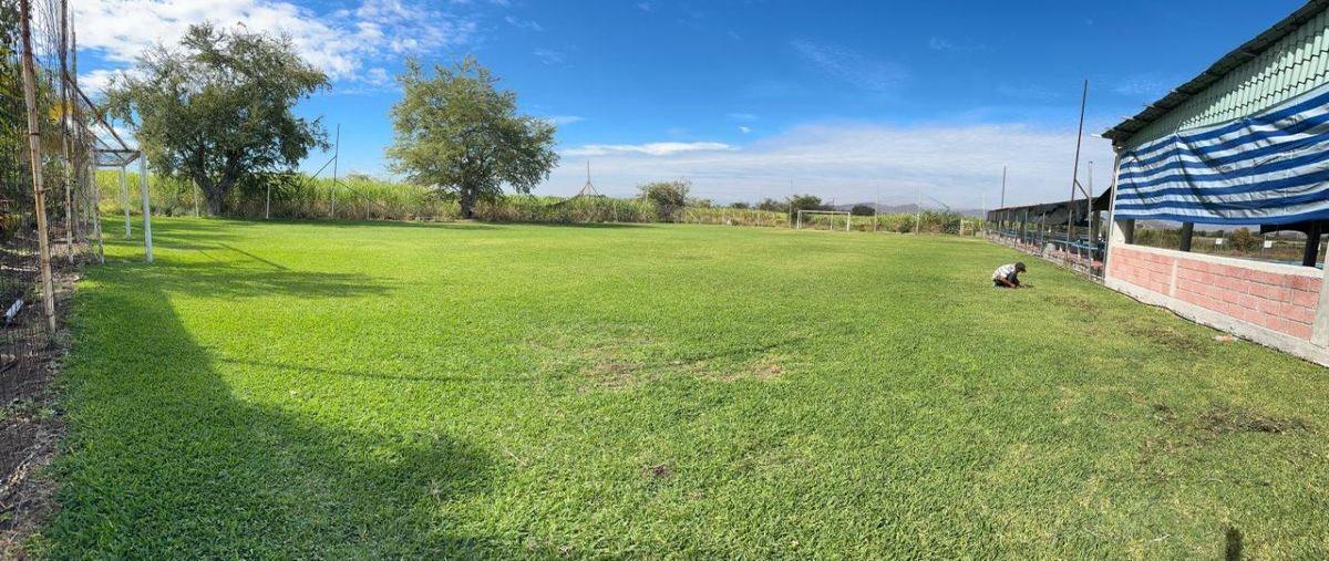 Foto de terreno habitacional en venta en  , tepetzingo, emiliano zapata, morelos, 0 No. 05