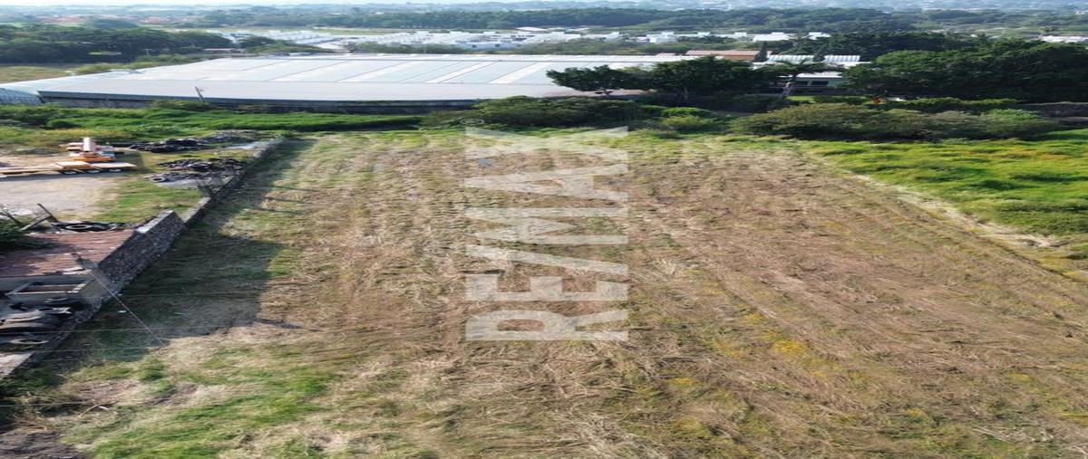Foto de terreno habitacional en tepetzingo , tepetzingo, emiliano zapata, morelos, 0 foto 04 Foto de terreno habitacional en venta en tepetzingo , tepetzingo, emiliano zapata, morelos, 0 No. 04