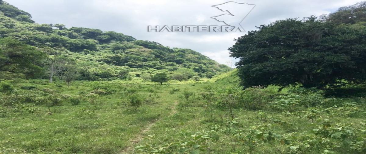 Foto de rancho en venta en tepetzintla , tepetzintla, tepetzintla, veracruz de ignacio de la llave, 0 No. 03