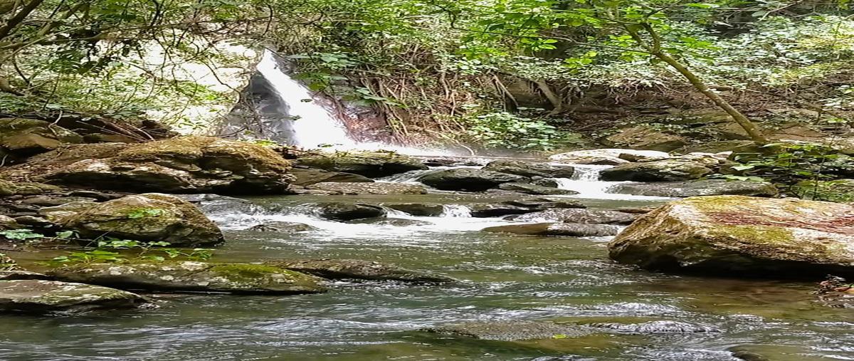 Foto de rancho en venta en  , tepetzintla, tepetzintla, veracruz de ignacio de la llave, 30244913 No. 05