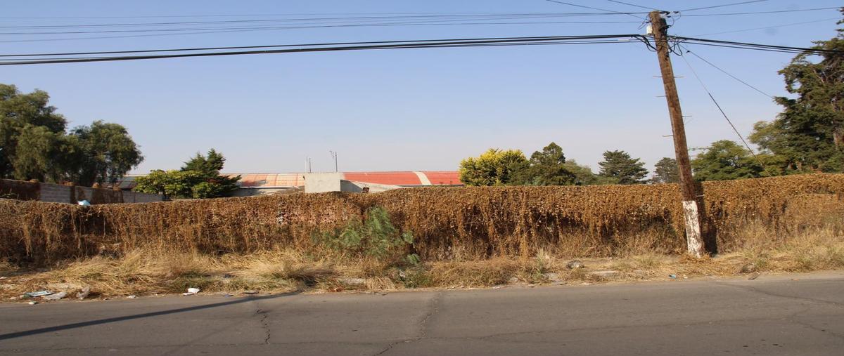 Foto de terreno habitacional en renta en  , tepexpan, acolman, méxico, 0 No. 05