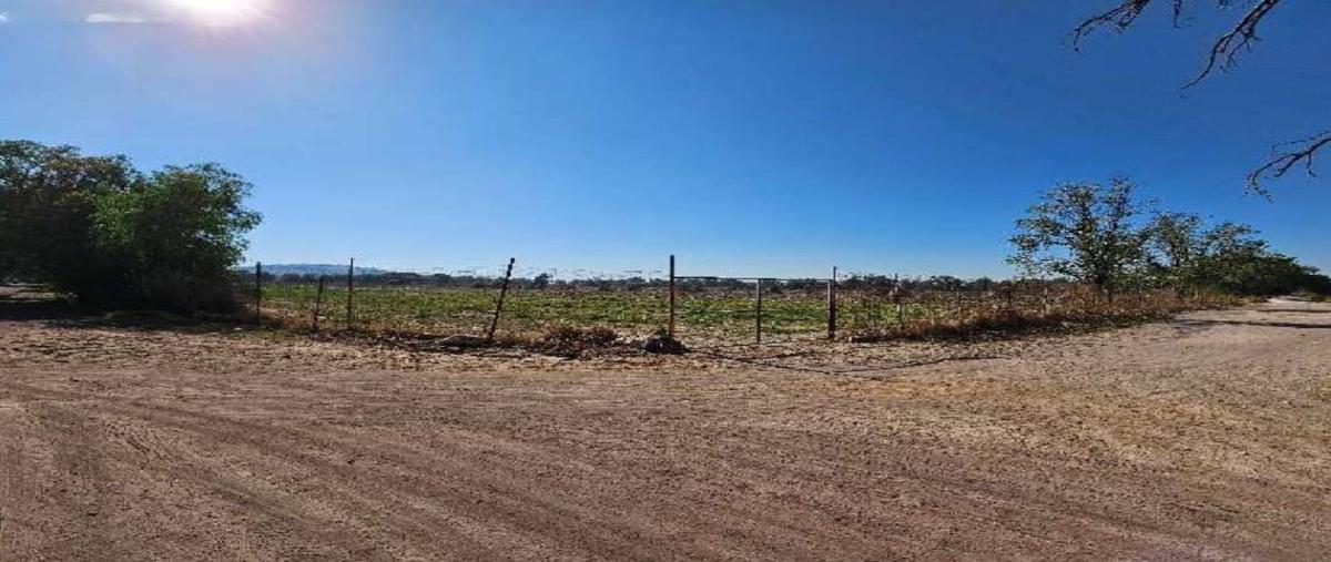 Foto de terreno habitacional en venta en  , tepexpan, acolman, méxico, 0 No. 04