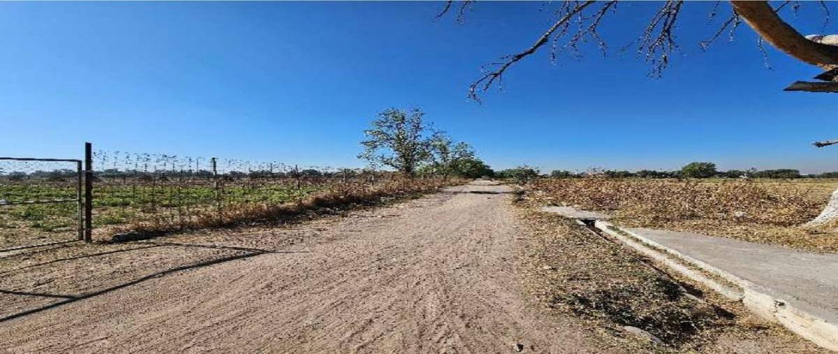 Foto de terreno habitacional en venta en  , tepexpan, acolman, méxico, 0 No. 05