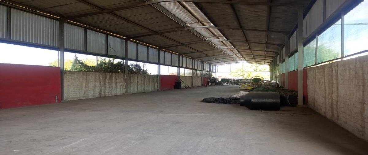 Foto de nave industrial en renta en  , tepeyac, tecomán, colima, 0 No. 04