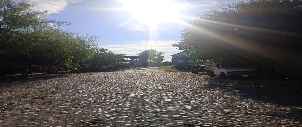 Foto de terreno habitacional en renta en  , tepeyac, tecomán, colima, 0 No. 03