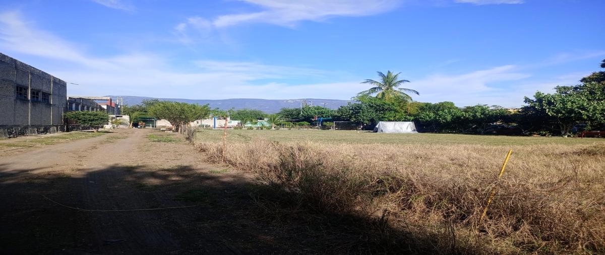 Foto de terreno habitacional en renta en  , tepeyac, tecomán, colima, 0 No. 04