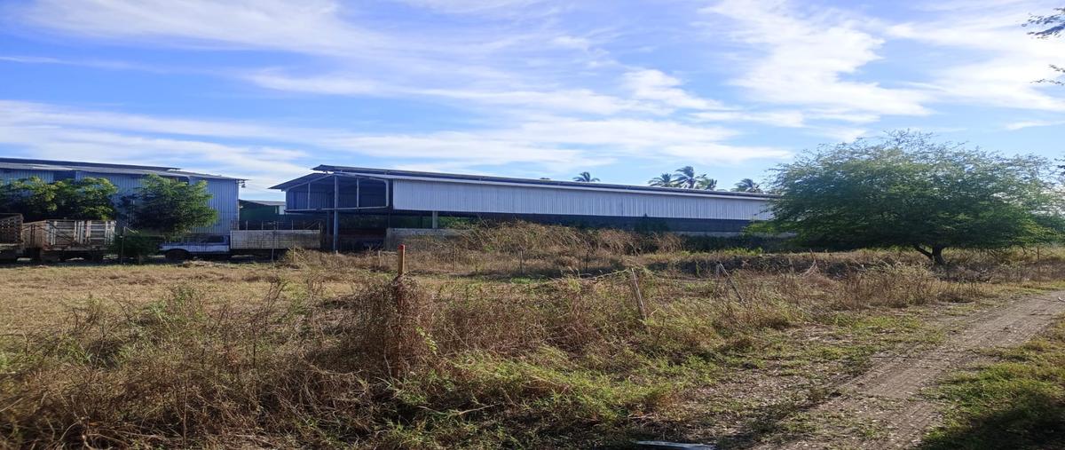 Foto de terreno habitacional en renta en  , tepeyac, tecomán, colima, 0 No. 05