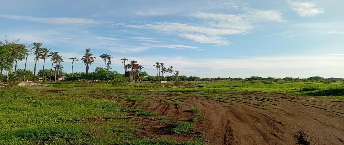 Foto de terreno habitacional en renta en  , tepeyac, tecomán, colima, 0 No. 03