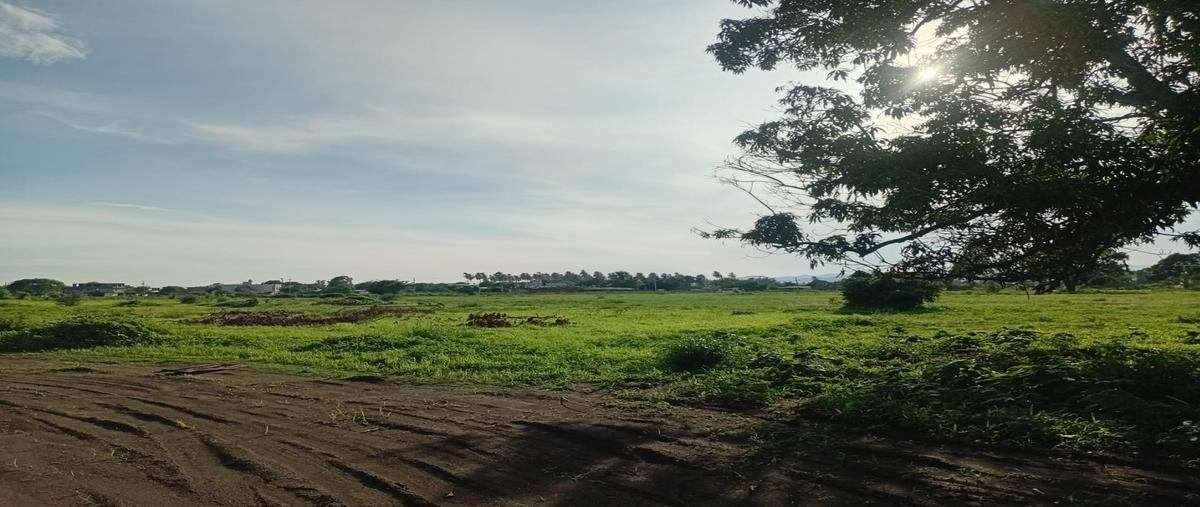 Foto de terreno habitacional en renta en  , tepeyac, tecomán, colima, 0 No. 04