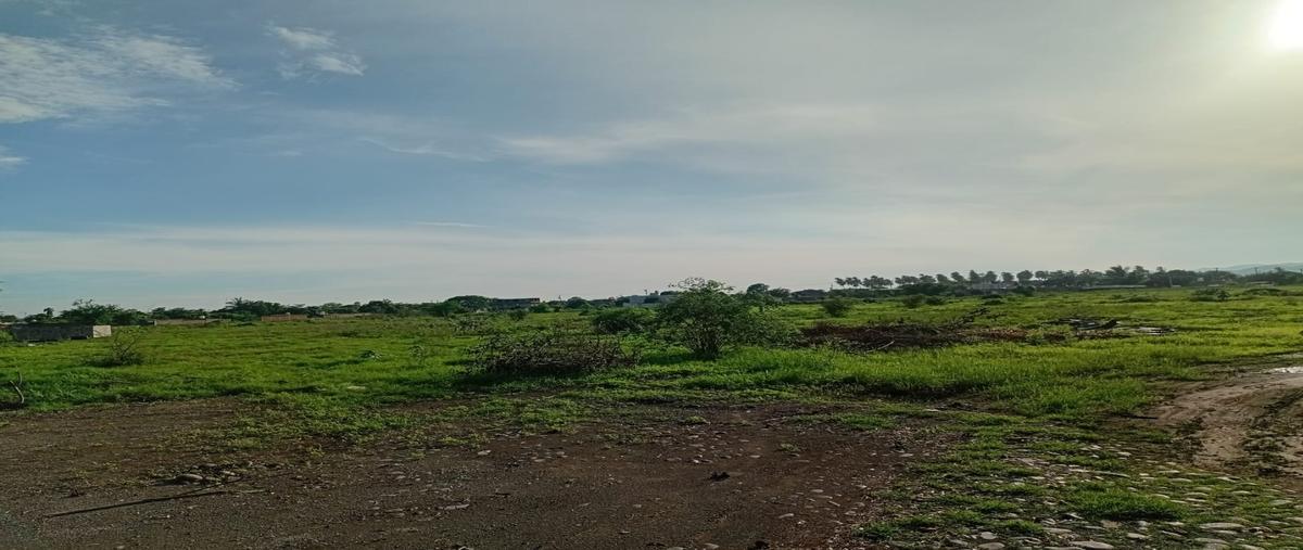 Foto de terreno habitacional en renta en  , tepeyac, tecomán, colima, 0 No. 05