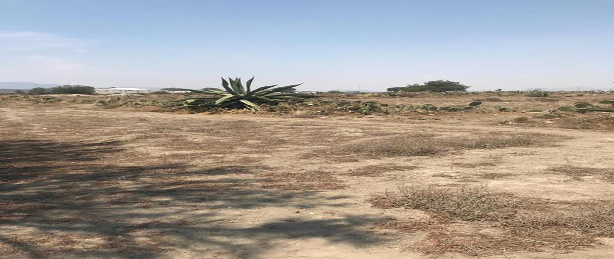 Foto de terreno habitacional en venta en  , tepeyahualco, tepeyahualco, puebla, 8115353 No. 03