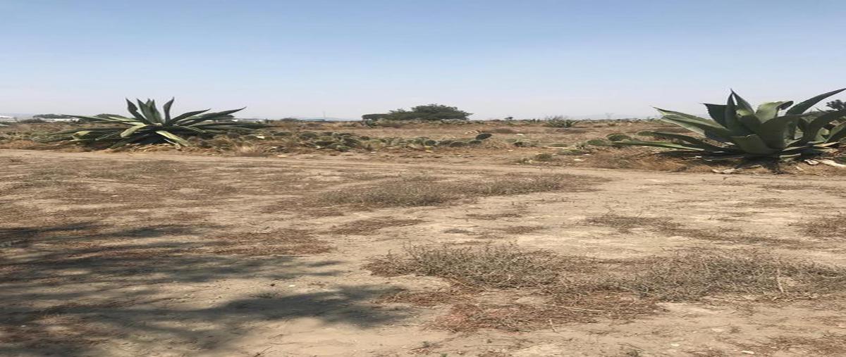Foto de terreno habitacional en venta en  , tepeyahualco, tepeyahualco, puebla, 8115353 No. 04