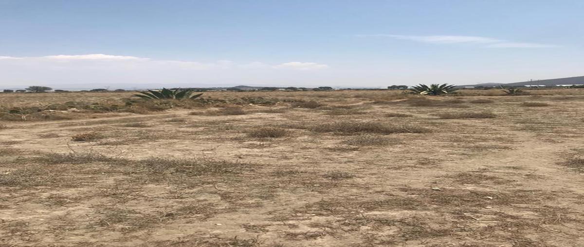 Foto de terreno habitacional en venta en  , tepeyahualco, tepeyahualco, puebla, 8115353 No. 05