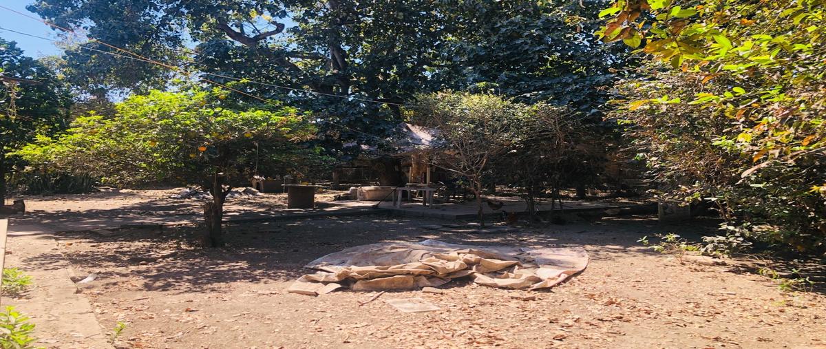 Foto de terreno habitacional en venta en  , tepic centro, tepic, nayarit, 0 No. 05