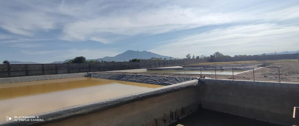 Foto de terreno habitacional en venta en  , tepic centro, tepic, nayarit, 0 No. 04